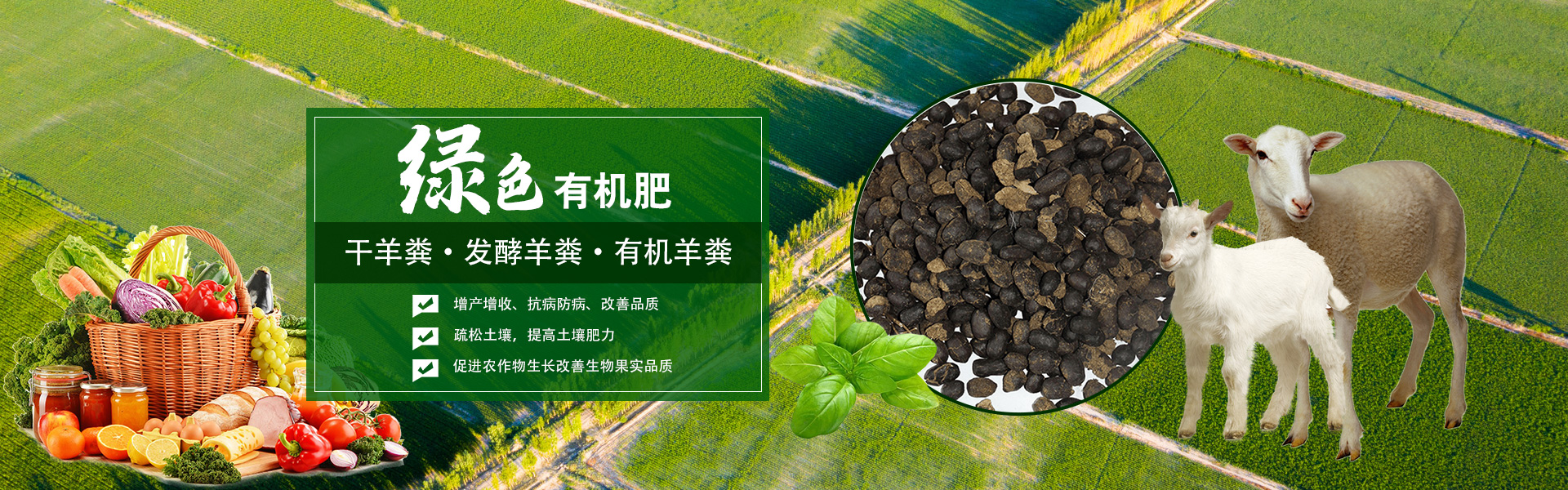 幻燈二